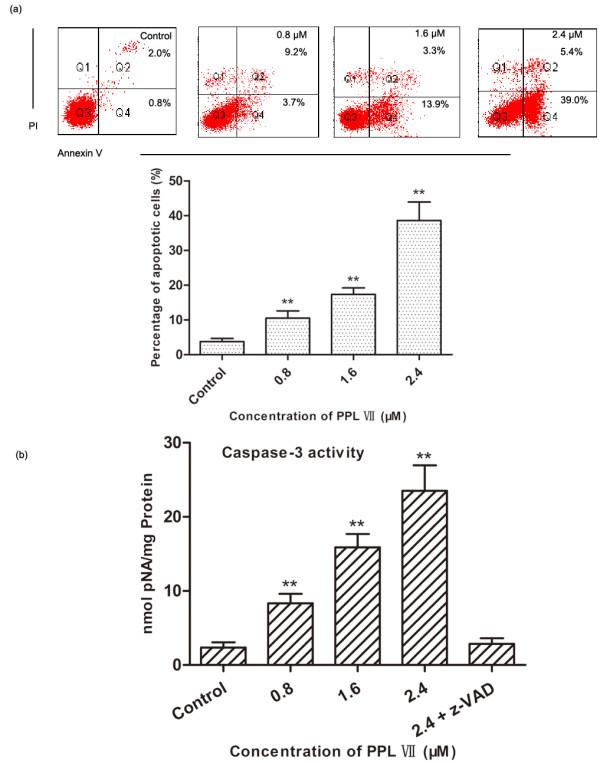 https://cdn.ncbi.nlm.nih.gov/pmc/blobs/74c5/4138939/5be4ecad3eb3/2047-783X-19-41-3.jpg