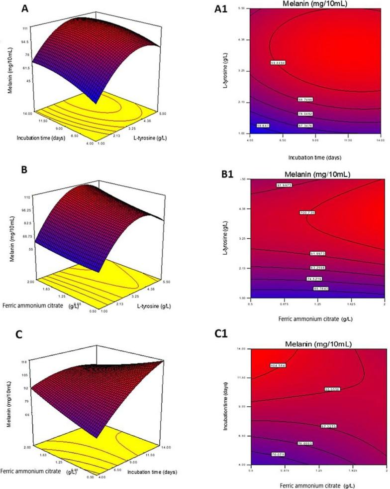 https://cdn.ncbi.nlm.nih.gov/pmc/blobs/74c6/10792909/1a97c206539b/12934_2023_2276_Fig5_HTML.jpg
