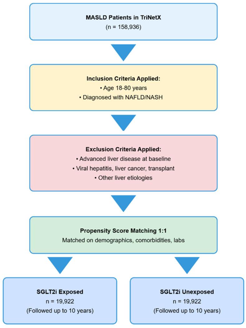 https://cdn.ncbi.nlm.nih.gov/pmc/blobs/74c6/12389333/1fd34a48e4d3/pharmaceuticals-18-01118-g005.jpg