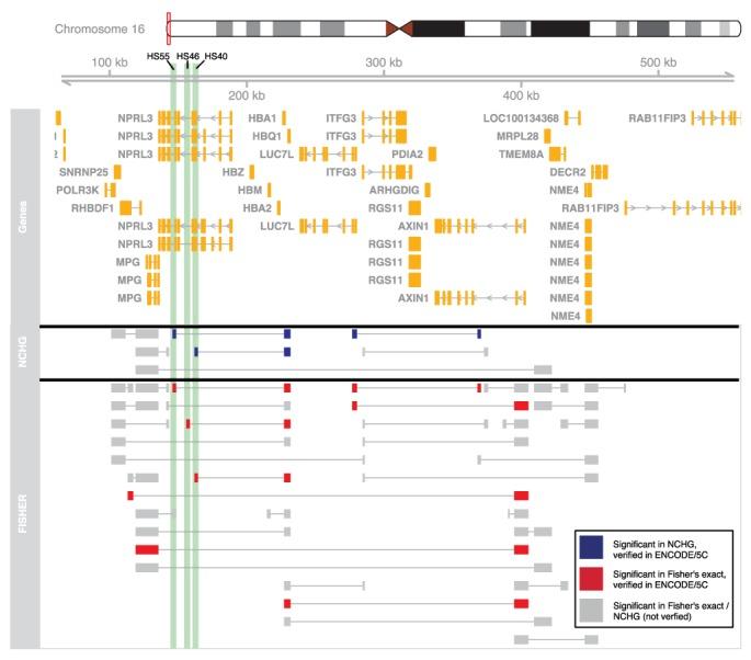 https://cdn.ncbi.nlm.nih.gov/pmc/blobs/74c7/4191384/e15cbe595eea/gku738fig5.jpg