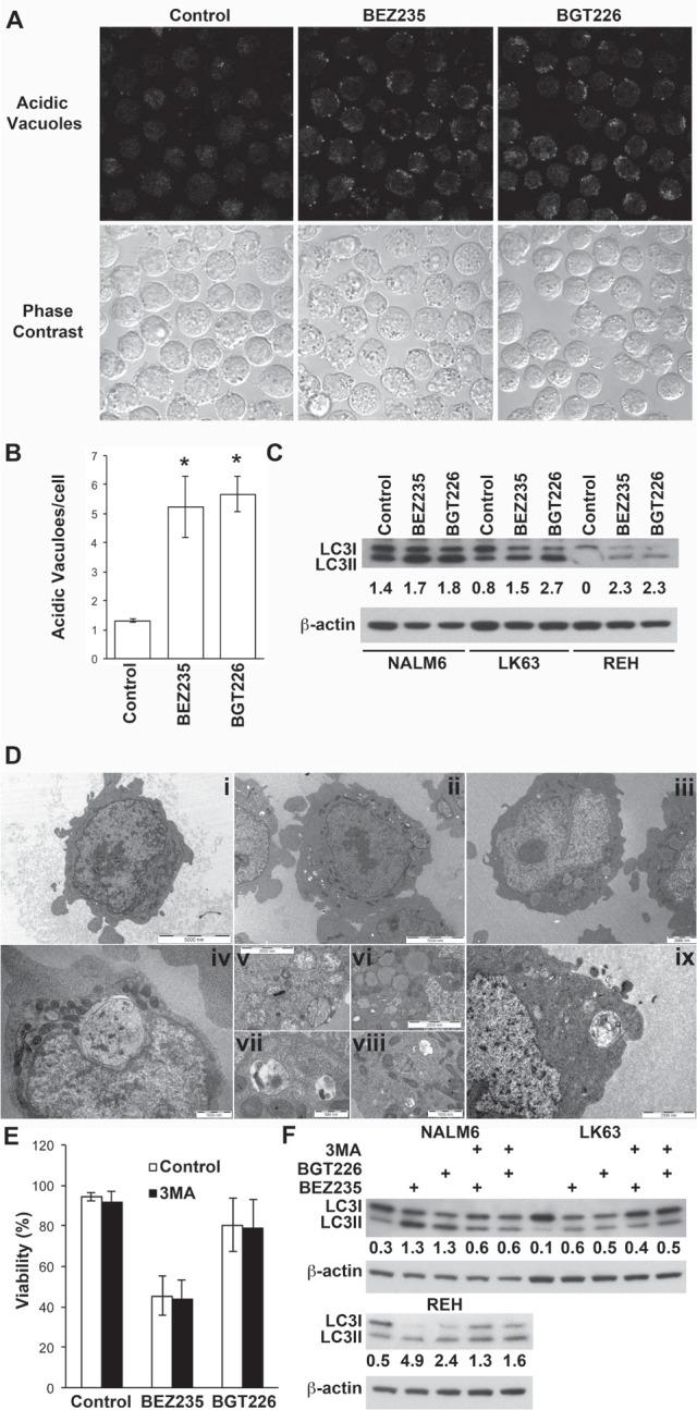 https://cdn.ncbi.nlm.nih.gov/pmc/blobs/74c8/4279386/f552d24c54fa/oncotarget-05-10460-g003.jpg