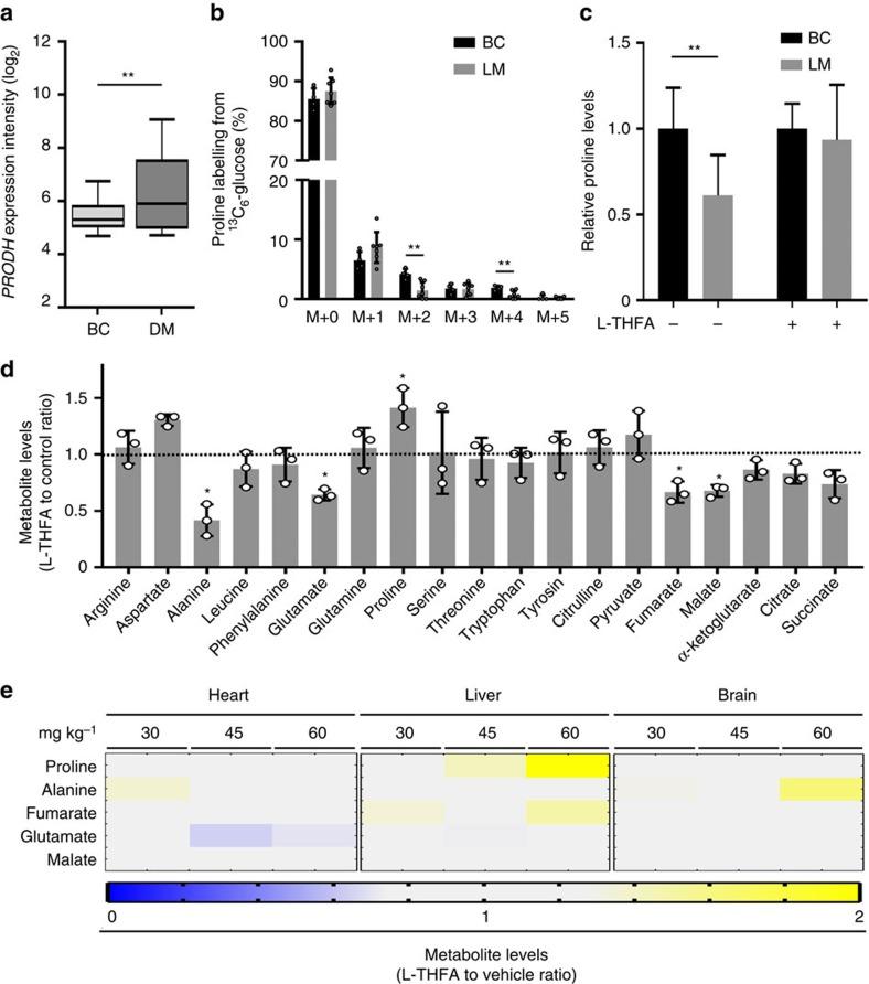 https://cdn.ncbi.nlm.nih.gov/pmc/blobs/74c9/5437289/8928e2071196/ncomms15267-f6.jpg