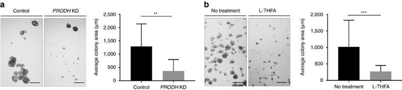 https://cdn.ncbi.nlm.nih.gov/pmc/blobs/74c9/5437289/a5716e8caf35/ncomms15267-f2.jpg