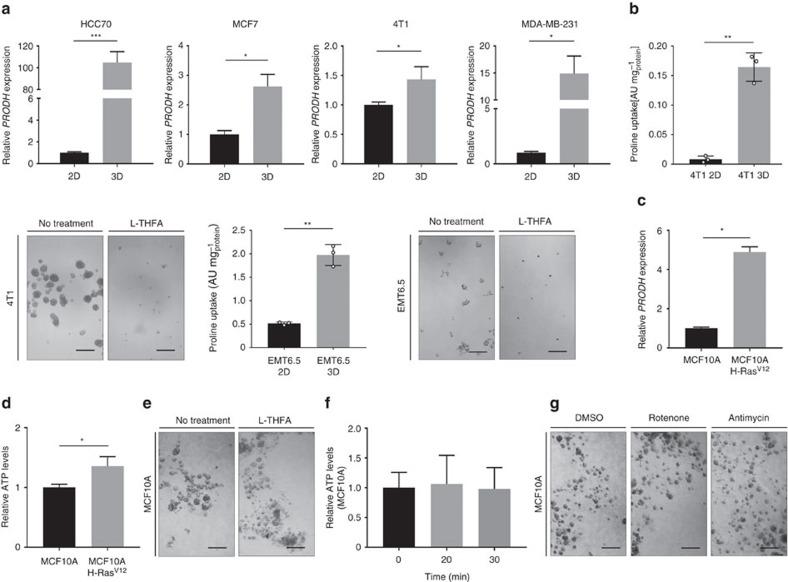 https://cdn.ncbi.nlm.nih.gov/pmc/blobs/74c9/5437289/b9b2ba9b2112/ncomms15267-f5.jpg