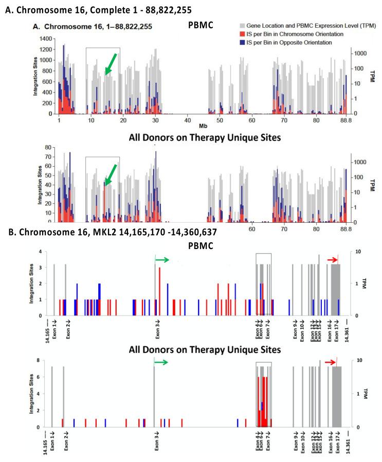 https://cdn.ncbi.nlm.nih.gov/pmc/blobs/74c9/8537114/92a1f1201b52/viruses-13-02078-g005.jpg