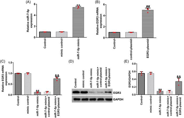 https://cdn.ncbi.nlm.nih.gov/pmc/blobs/74cd/10091379/87e62a684056/IID3-11-e823-g006.jpg