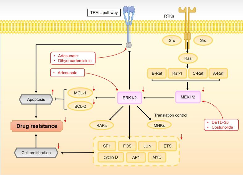 https://cdn.ncbi.nlm.nih.gov/pmc/blobs/74ce/11977367/b67506f704c2/cdr-8-13.fig.10.jpg