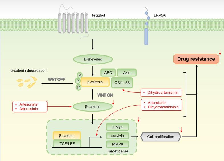https://cdn.ncbi.nlm.nih.gov/pmc/blobs/74ce/11977367/f89777f75a68/cdr-8-13.fig.9.jpg
