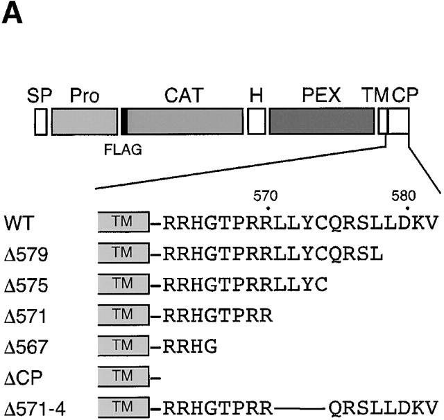 https://cdn.ncbi.nlm.nih.gov/pmc/blobs/74d1/2199326/3afd06a14f4f/0108112f3a.jpg