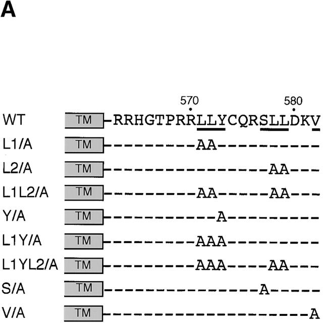 https://cdn.ncbi.nlm.nih.gov/pmc/blobs/74d1/2199326/c04ba068da00/0108112f4a.jpg