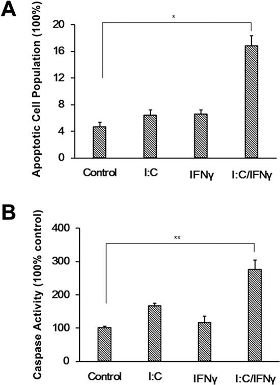 https://cdn.ncbi.nlm.nih.gov/pmc/blobs/74d4/4770765/63af15ce1e6c/oncotarget-06-39184-g003.jpg