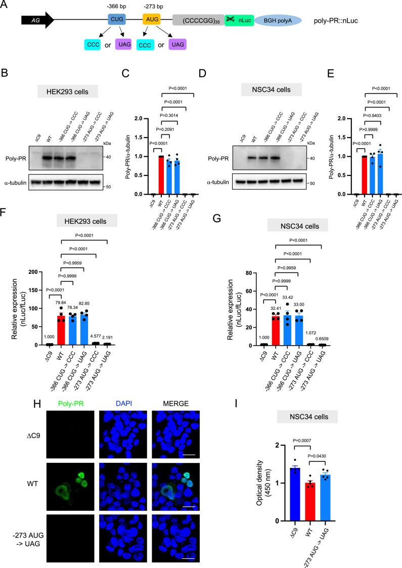 https://cdn.ncbi.nlm.nih.gov/pmc/blobs/74d6/10541178/312896e4edad/elife-83189-fig2.jpg