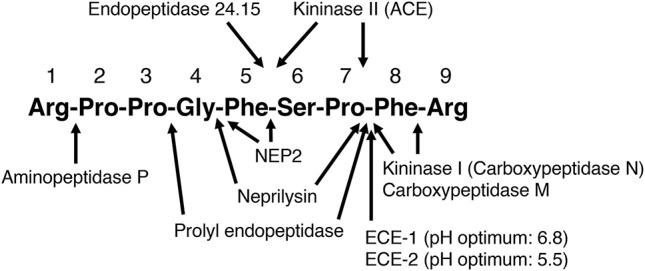 https://cdn.ncbi.nlm.nih.gov/pmc/blobs/74d7/6157573/e6e5719a29ed/fmed-05-00257-g0001.jpg