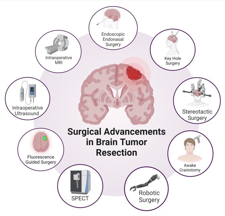 https://cdn.ncbi.nlm.nih.gov/pmc/blobs/74d9/11607568/acdabd9520c7/cureus-0016-00000072745-i01.jpg