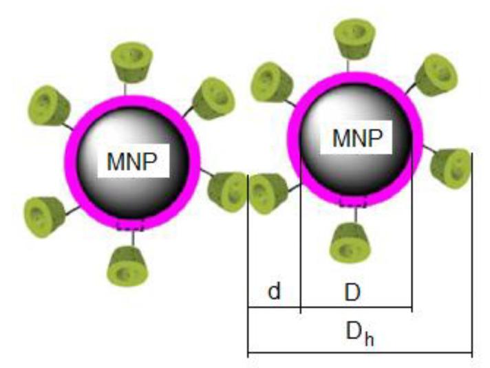 https://cdn.ncbi.nlm.nih.gov/pmc/blobs/74d9/9029492/4cd0b0958148/ijms-23-04350-g001.jpg