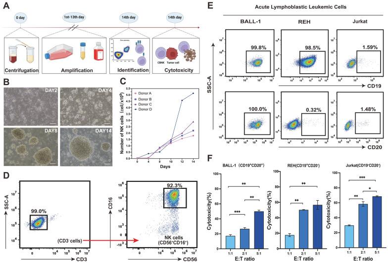 https://cdn.ncbi.nlm.nih.gov/pmc/blobs/74db/10935961/07b7383e18e0/12967_2024_4990_Fig2_HTML.jpg