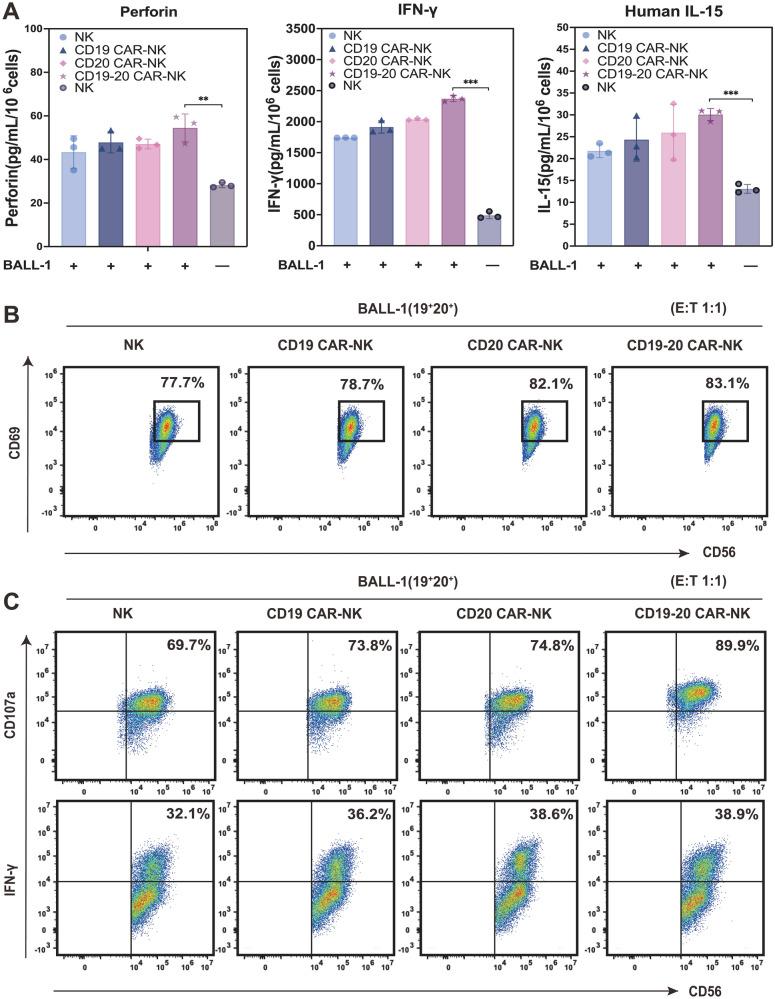 https://cdn.ncbi.nlm.nih.gov/pmc/blobs/74db/10935961/170b618239c2/12967_2024_4990_Fig5_HTML.jpg