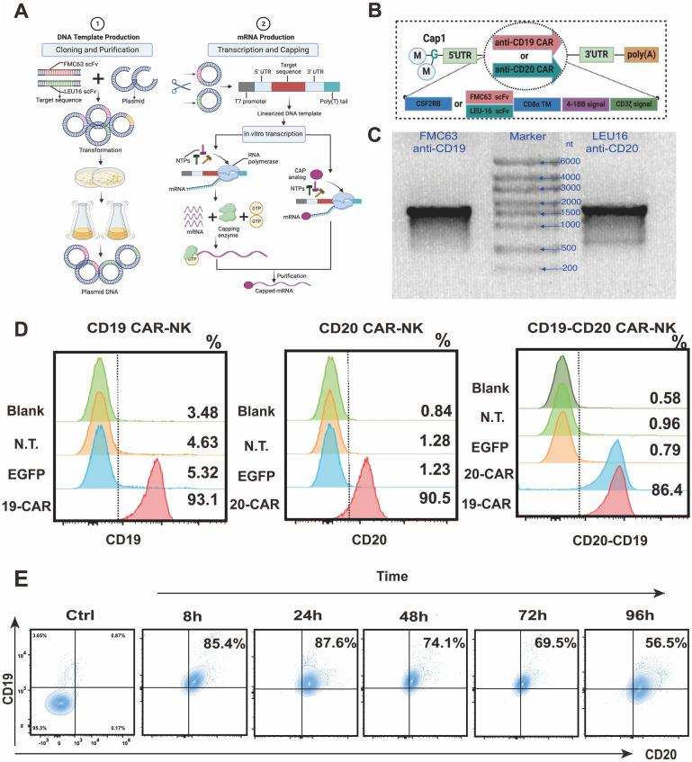 https://cdn.ncbi.nlm.nih.gov/pmc/blobs/74db/10935961/7fc6c5464304/12967_2024_4990_Fig3_HTML.jpg