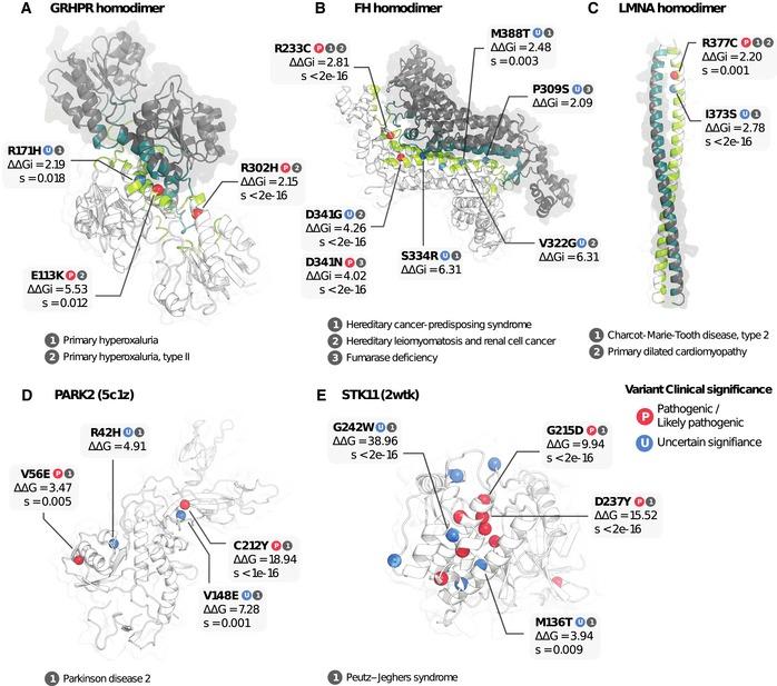 https://cdn.ncbi.nlm.nih.gov/pmc/blobs/74db/6301329/5128c923f724/MSB-14-e8430-g006.jpg