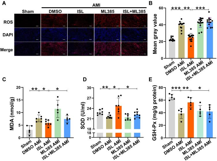 https://cdn.ncbi.nlm.nih.gov/pmc/blobs/74db/9064455/3973f6a400ae/DDDT-16-1273-g0006.jpg
