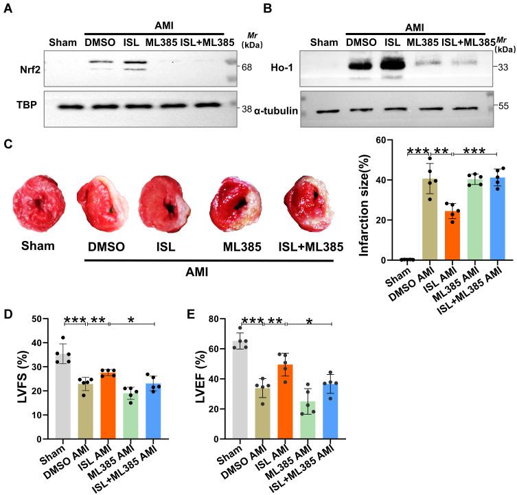 https://cdn.ncbi.nlm.nih.gov/pmc/blobs/74db/9064455/a819727ed7d5/DDDT-16-1273-g0005.jpg