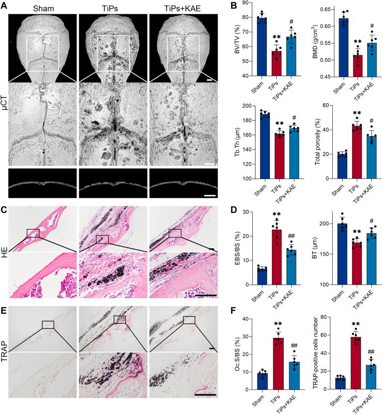 https://cdn.ncbi.nlm.nih.gov/pmc/blobs/74dc/11223082/28294d2e53de/gr1.jpg