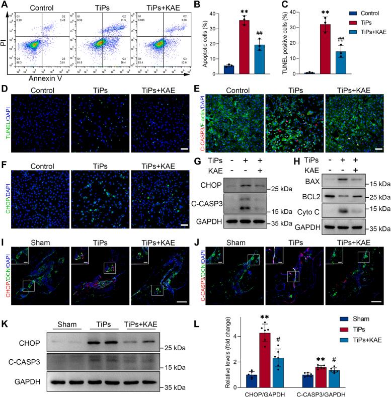 https://cdn.ncbi.nlm.nih.gov/pmc/blobs/74dc/11223082/83c6fc9d1ab4/gr4.jpg