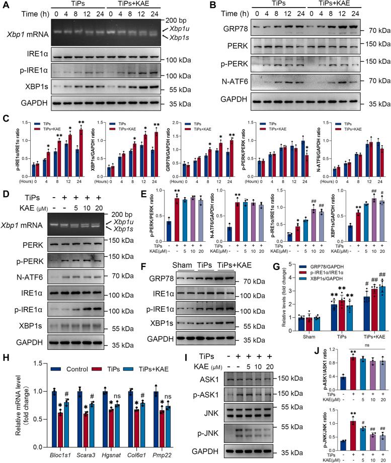 https://cdn.ncbi.nlm.nih.gov/pmc/blobs/74dc/11223082/b1cd49084dc5/gr7.jpg