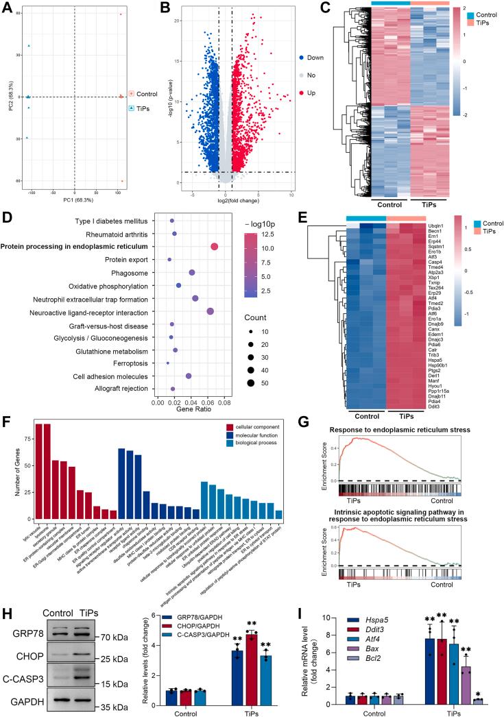 https://cdn.ncbi.nlm.nih.gov/pmc/blobs/74dc/11223082/c98cf03ea460/gr3.jpg