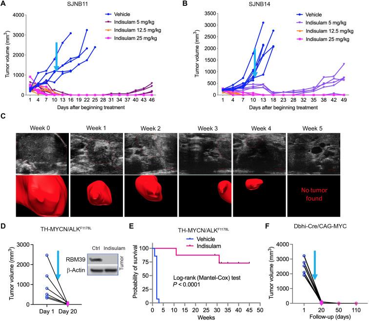https://cdn.ncbi.nlm.nih.gov/pmc/blobs/74df/8598007/9c3c85ed85cb/sciadv.abj5405-f5.jpg
