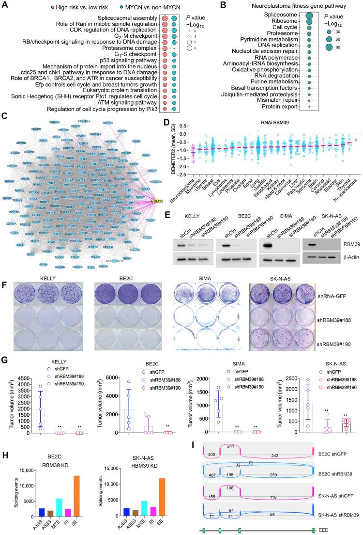 https://cdn.ncbi.nlm.nih.gov/pmc/blobs/74df/8598007/ff488f1899c4/sciadv.abj5405-f1.jpg