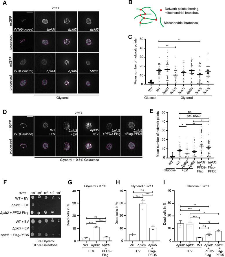 https://cdn.ncbi.nlm.nih.gov/pmc/blobs/74e0/10496292/891ff5d86bf2/12915_2023_1695_Fig2_HTML.jpg
