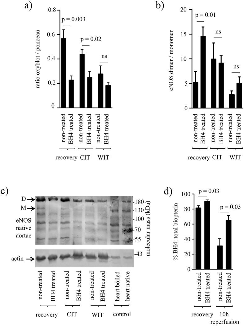 https://cdn.ncbi.nlm.nih.gov/pmc/blobs/74e0/5121662/a9f926a2c949/srep37917-f5.jpg