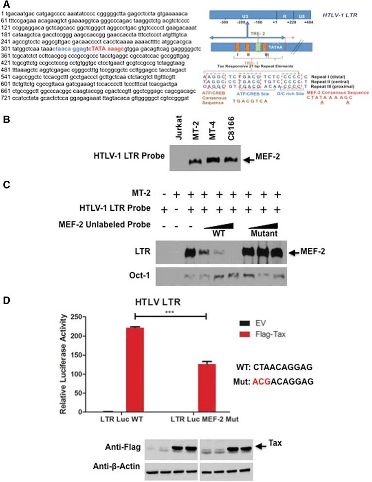 https://cdn.ncbi.nlm.nih.gov/pmc/blobs/74e1/4374383/1261c51e6434/12977_2015_140_Fig7_HTML.jpg