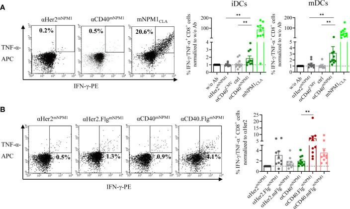 https://cdn.ncbi.nlm.nih.gov/pmc/blobs/74e1/7689061/2d232f28b0fd/fimmu-11-602802-g006.jpg