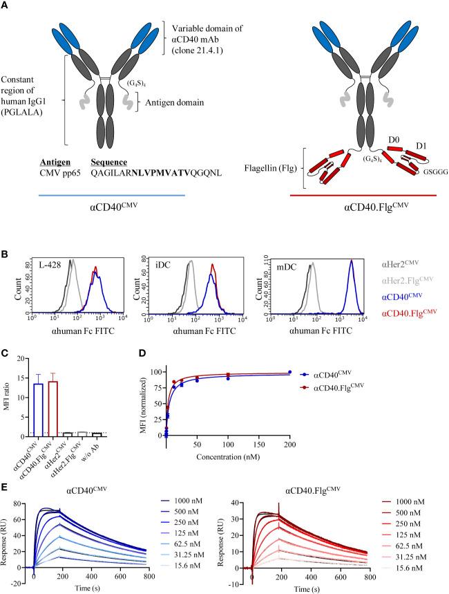 https://cdn.ncbi.nlm.nih.gov/pmc/blobs/74e1/7689061/374c9c06119d/fimmu-11-602802-g001.jpg
