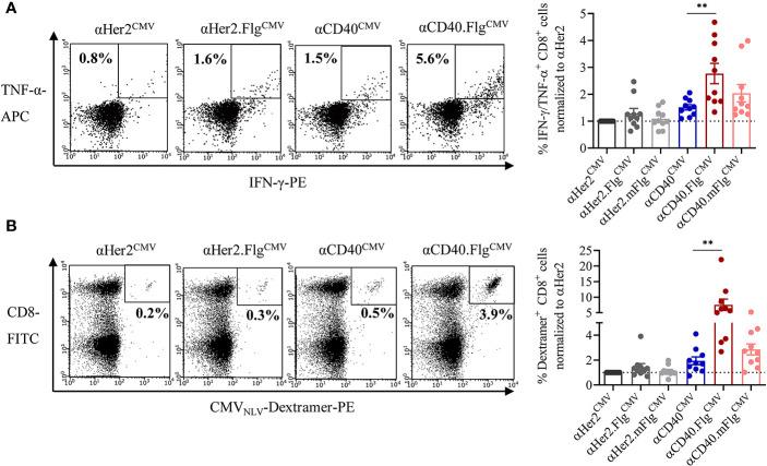 https://cdn.ncbi.nlm.nih.gov/pmc/blobs/74e1/7689061/d1afe238c29c/fimmu-11-602802-g005.jpg