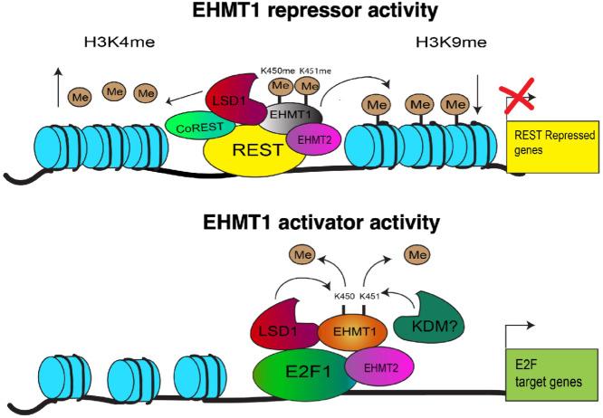 https://cdn.ncbi.nlm.nih.gov/pmc/blobs/74e2/10470473/25be9882a5c6/crc-23-0208_fig8.jpg