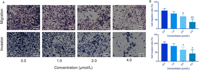 https://cdn.ncbi.nlm.nih.gov/pmc/blobs/74e2/8245908/75009c1867c2/gr7.jpg