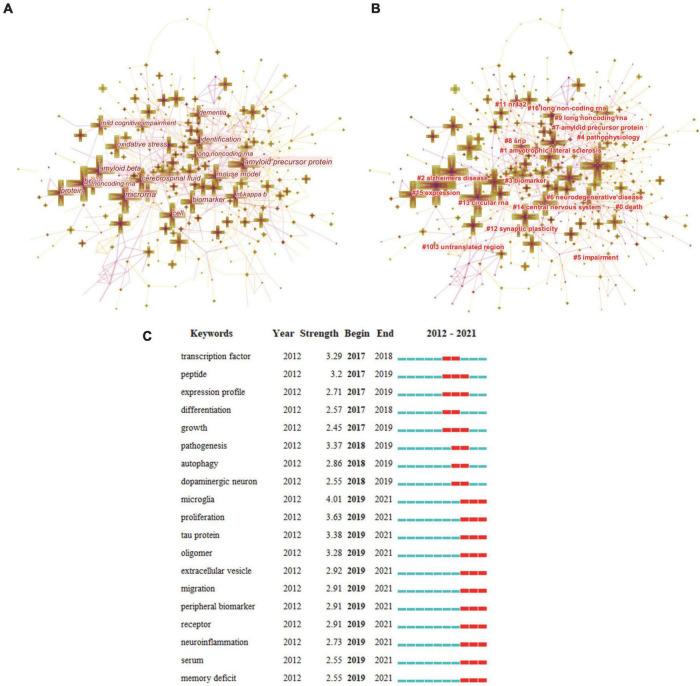 https://cdn.ncbi.nlm.nih.gov/pmc/blobs/74e5/9623309/693d6b7fecff/fnagi-14-1037068-g005.jpg