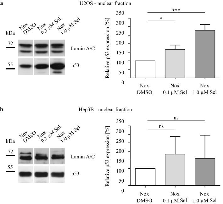 https://cdn.ncbi.nlm.nih.gov/pmc/blobs/74e6/8164574/6455740714c6/432_2021_3626_Fig2_HTML.jpg