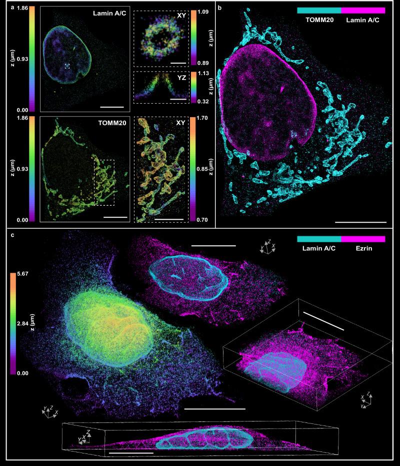 https://cdn.ncbi.nlm.nih.gov/pmc/blobs/74e8/11586421/7bddce86450c/41467_2024_54609_Fig4_HTML.jpg