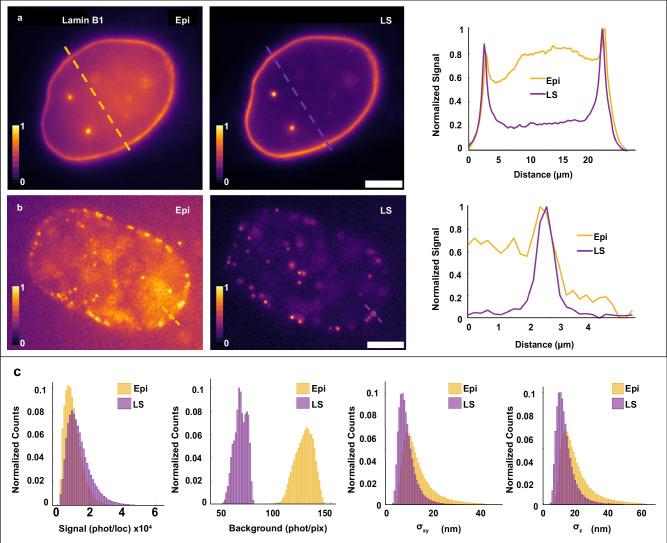 https://cdn.ncbi.nlm.nih.gov/pmc/blobs/74e8/11586421/bbf3f60cfcba/41467_2024_54609_Fig2_HTML.jpg