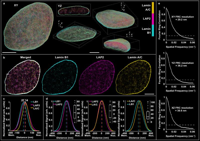 https://cdn.ncbi.nlm.nih.gov/pmc/blobs/74e8/11586421/c215adc99f56/41467_2024_54609_Fig5_HTML.jpg
