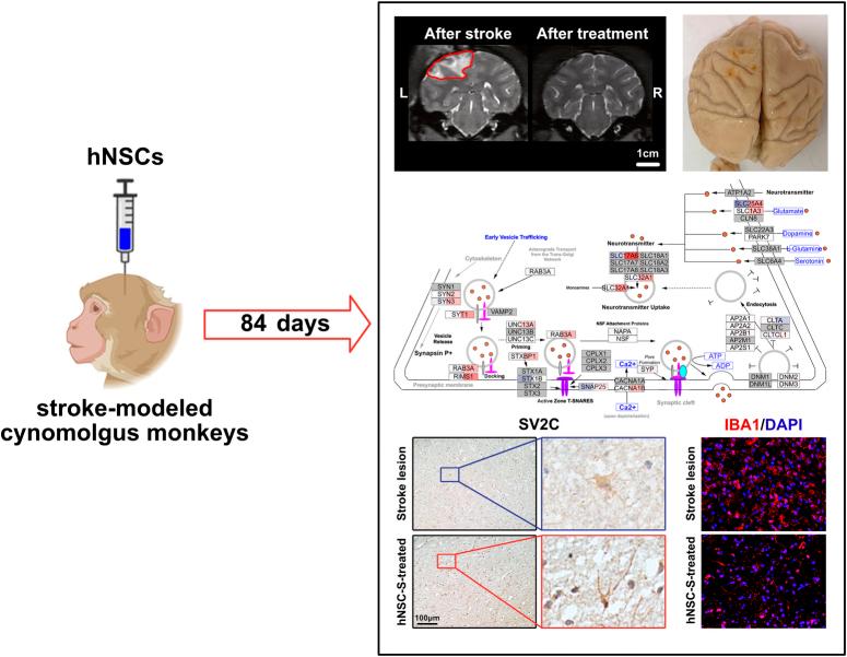 https://cdn.ncbi.nlm.nih.gov/pmc/blobs/74e9/11392141/121b76fe41f3/js9-110-5417-g001.jpg