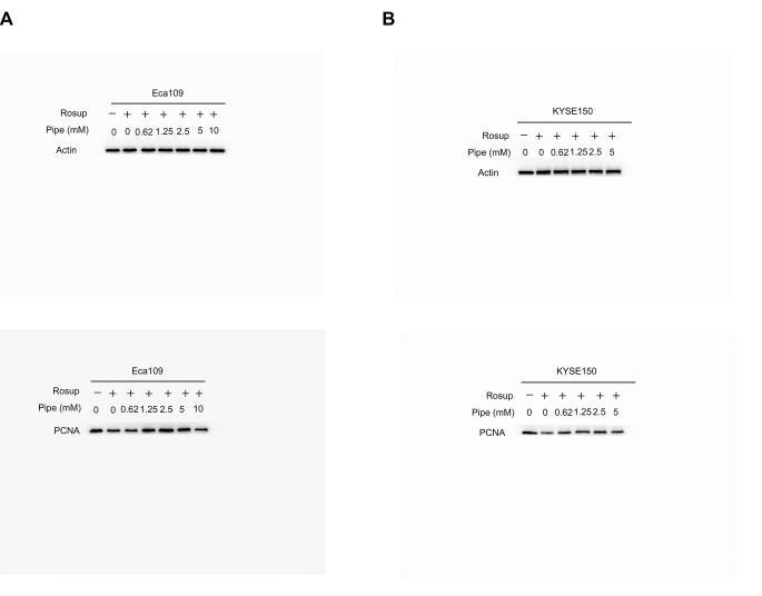https://cdn.ncbi.nlm.nih.gov/pmc/blobs/74ea/9880896/62d1fc667baa/fx6.jpg