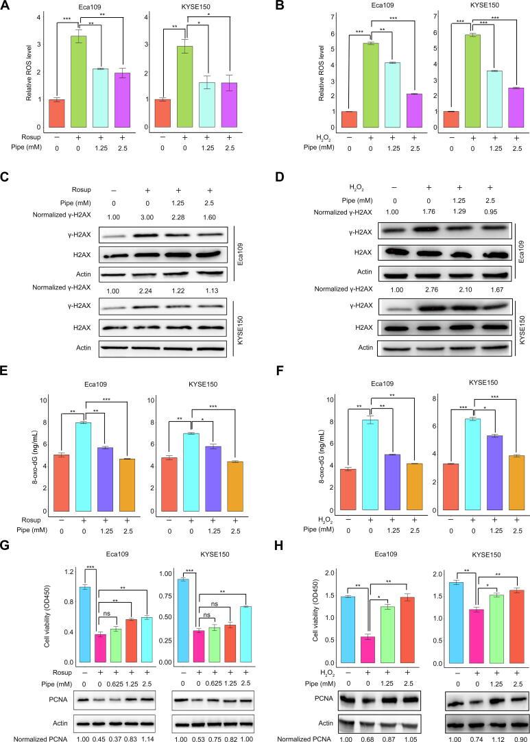 https://cdn.ncbi.nlm.nih.gov/pmc/blobs/74ea/9880896/fe88467436bb/gr7.jpg