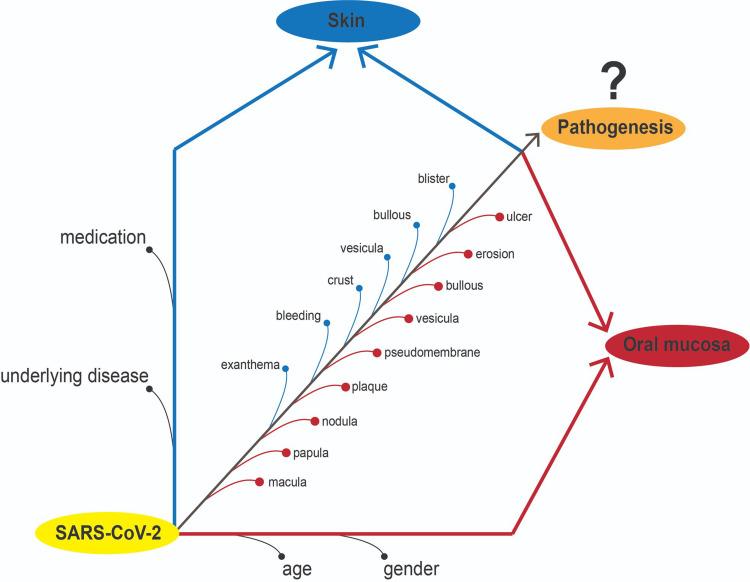 https://cdn.ncbi.nlm.nih.gov/pmc/blobs/74eb/10329433/f98541c05f11/IDR-16-4357-g0001.jpg