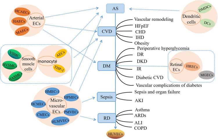 https://cdn.ncbi.nlm.nih.gov/pmc/blobs/74eb/10460614/3d26ae45647b/JIR-16-3593-g0001.jpg