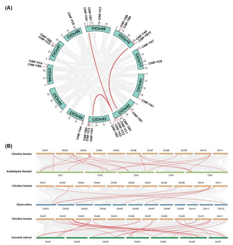 https://cdn.ncbi.nlm.nih.gov/pmc/blobs/74ec/9778975/57e631b1d0c6/ijms-23-15778-g003.jpg